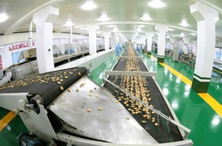 金正恩視察平壤食品工廠，創(chuàng)新設(shè)備彰顯國家實(shí)力與自豪